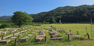 외국인도 꼭 가봐야 할 사찰…서산 개심사·마애삼존불·보원사지 [정용식의 사찰 기행]