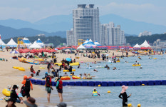 바닷가 편의점서 불티나게 팔렸다, 최고 핫템은? [언박싱]