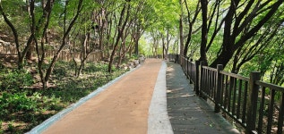 종로 숭인공원 맨발산책로 9월 개장