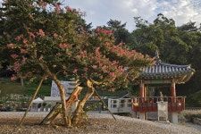 “지평선과 수평선의 만남” 김제의 사찰 모악산 귀신사…서해의 망해사 [정용식의 사찰 기행]