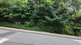 [영상] 달동네였던 봉천동 대장 ‘이 아파트’, 10억 클럽 재진입할까 [부동산360]