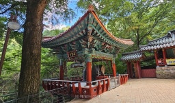 금오산 기암절벽과 수림의 조화…구미 해운사와 약사암 [정용식의 사찰 기행]