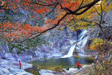 가을빛 내려앉은 울진… 축제와 여행의 향연