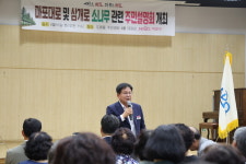 서울 도심 속 ‘명품 소나무 숲길’…마포대로·삼개로 새롭게 태어나다