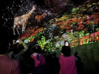 이분이 바로?… 광명동굴 창조자 양기대 추석 인기 ‘상한가’