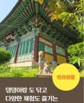 반려견도 천년고찰에서 명상을..남양주 봉선사 특별한 펫 프렌들리[함영훈의 멋·맛·쉼]