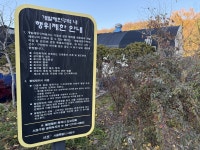 [르포] 서초 서리풀 개발두고 주민은 “못나간다”…사업, 더 미뤄지나[부동산360]