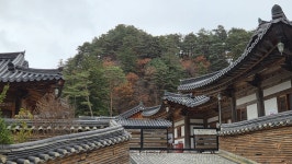 “석탑 향해 공양하는 보살좌상”…광명 밝히는 오대산 월정사 [정용식의 사찰 기행]