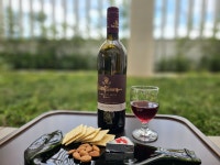 “겨울아 물렀거라” 수도권 코앞 웰니스 면역력 여행