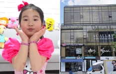 12세 유튜버 ‘보람튜브’ 강남 빌딩 매입 6년만에 70억 평가 차익, 비결은…