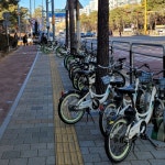 강서구, 교통약자 이동권 보호 나선다