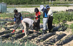 울산 ‘도시민 치유텃밭 농장’ 분양