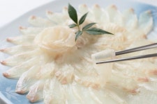“이제 회도 못 먹겠다” 싼 맛에 먹던 ‘광어’의 배신…순식간에 ‘금값’된 국민 생선 [지구, 뭐래?]