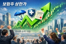 프론티어인베스트유한책임회사 | 증권주 다음 타자는 보험주?…자사주 의무 소각 기대에 줄줄이 상한가 [투자360]