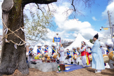 대구 서구 천왕메기보존회 정월대보름 동제(洞祭) 행사