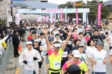 ‘제33회 경주벚꽃마라톤대회’ 오는 4일 개최…보문단지·도심 벚꽃길 따라 3개 코스 운영