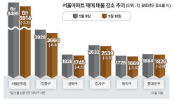비거주 1주택자 매물 출회 유도 통할까