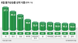 파 37%·쌀 12%·달걀 10%…‘밥상 단골’ 전부 두 자릿수 올랐다 [언박싱]