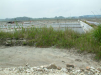 연기·공주 외곽 땅값도 들썩..익산까지 확산