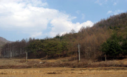 [재테크광고]평당 9,800원 동계올림픽 평창 토지매각