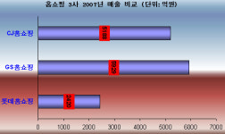 (주)에스엠케이 파워마트 | 유통종가 롯데, 홈쇼핑 첫 성적표 '기대이하'