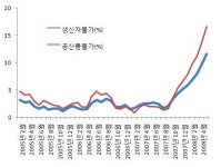 생산자물가 두자릿수 급등..환란이후 처음
