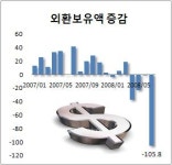 `방패막이 얇아졌다`..외환보유액 급감 불안