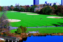 (정장진의 Tour & Culture)IT 강국 한국, 그래서?