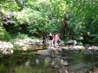 이 여름 無더위 夏夏好好 날려보자