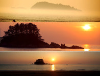 태안 별미 삼총사 맛보러 출발~