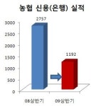 농협 은행·보험 경영실적 `뚝`