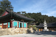 금강송 숲길 따라 녹색길 체험 떠나볼까