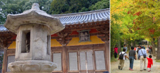 가을의 단풍, 겨울의 설경이 기다려지는 향기로운 소백산