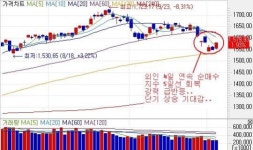 (이데일리ON)5일선 회복의 의미