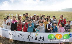 봄날 우리햇밀..밟은 만큼 쑥쑥 자라나요