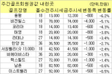 (골프회원권시황)비전힐스 4천만원 하락