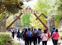 (포토)신영證, 임직원 20km 트래킹 행사