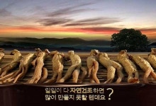 고유에프앤비(고유F&B) | 동원F&B "자연건조한 고유홍삼의 정성 느껴보세요"