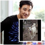 엄태웅, 애견 가출 속앓이 백통이 찾아요