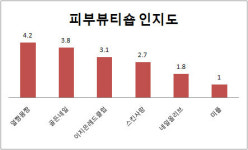 (2011 프랜차이즈랭킹)서비스업④ 피부뷰티숍