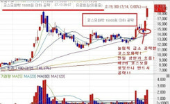 급등 테마주도 선택과 집중이 필요하다.