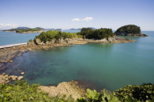 바다향에 취하고 밤풍경에 반하고