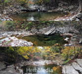 [허브미디어의 여행이야기] 숲의 정령들이 부르는 유명산자연휴양림