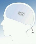 무슨 생각하고 사십니까?···직장인 뇌구조 화제