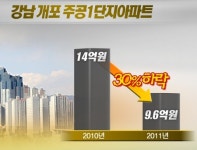 불안한 금융시장…부동산 시장도 `냉각`