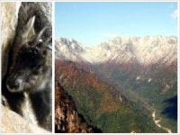 설악산 저항령계곡 등 13개 지역 특별보호구역 `지정`