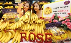 홈플러스, `로즈 바나나` 출시