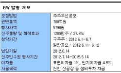 에스티피씨(STPC)짱치킨 | `BW청약 할까 말까?` 고민 깊은 STS반도체 주주들