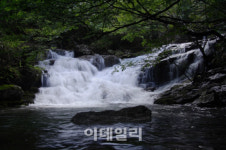 “여름휴가 국립공원으로 가볼까”