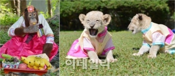 [포토]추석에는 색동한복으로 멋냈어요